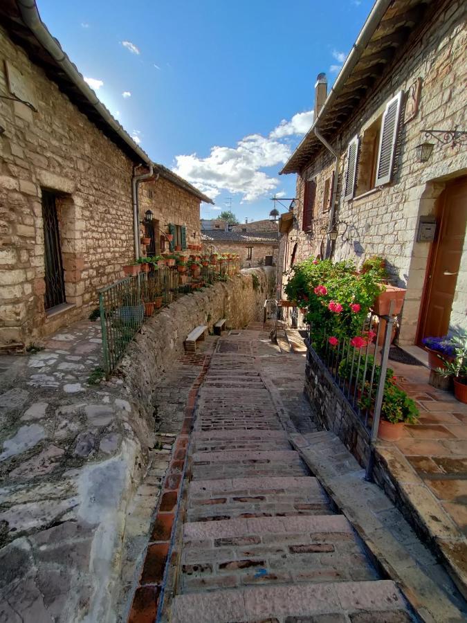Le Casette Di Franco & Anna Assisi Luaran gambar